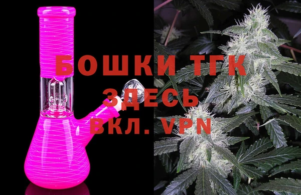 прущие грибы Баксан