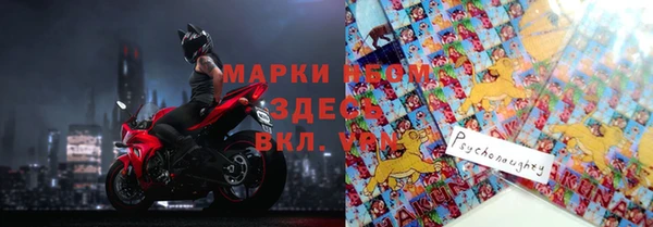 прущие грибы Баксан