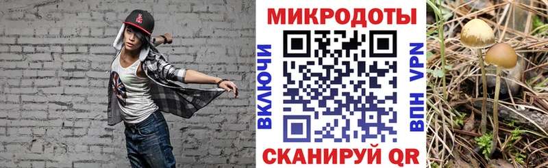 Галлюциногенные грибы мухоморы  Губаха 